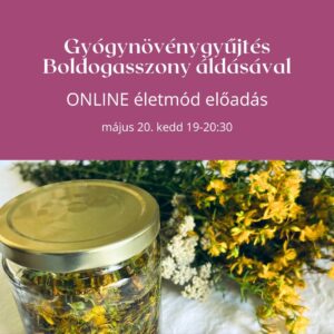Gyógynövénygyűjtés Boldogasszony áldásával